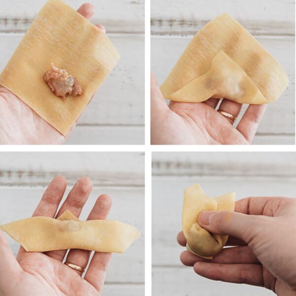 wrap wonton - vnifood